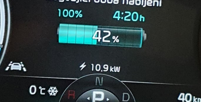 niro1.jpg