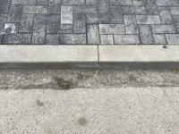 photo10181.jpg
